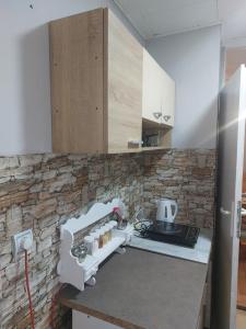 apartman Milica