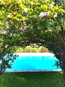 Quinta Santo António