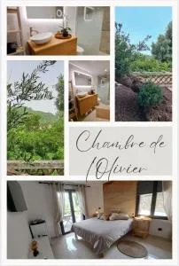 Chambre de l Olivier - Taradeau