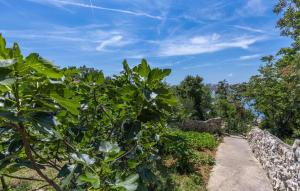 Stunning Apartment In Omisalj With Wifi