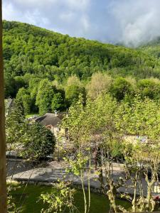 Appartements Le Valier, T2 residence Grand Hotel - Appt 308 - Aulus-les-bains : photos des chambres