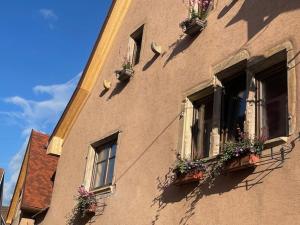 Maisons de vacances Cote Brand : photos des chambres