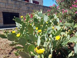 Vacation Home Katarina