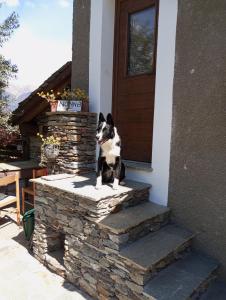 ROSINA HOUSE e CHALET