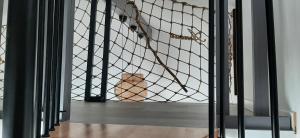 Appartements Appartement cosy 4 personnes : photos des chambres