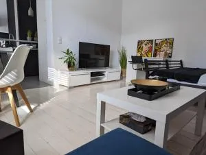 Loftowe mieszaknie w okolicach jezior i lasu. - Węgry