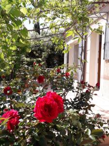 Villas villa des argiles : photos des chambres