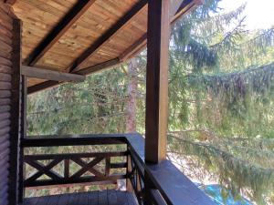 Vila Arcadia Sucevita