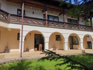 Vila Arcadia Sucevita