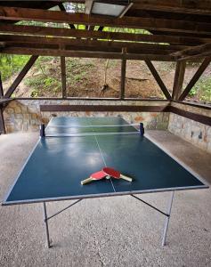 Vila Arcadia Sucevita