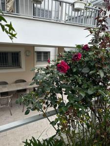 Casa Norma Oasi di pace a un passo dal mare