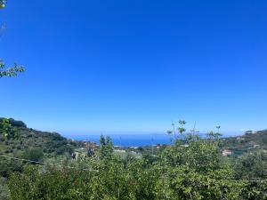 La Noce Holiday House