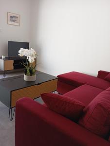 Appartements Appart Binic - Le grain de beaute : Appartement 1 Chambre