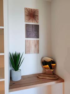 Appartements Grand studio face mer : photos des chambres