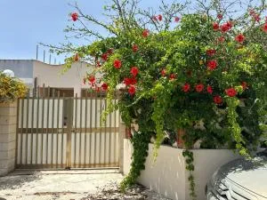 Monsant Casa Vacanze - Granelli