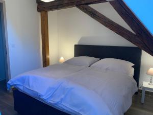 Gite Clair de Lune à Beblenheim 3 pers parking