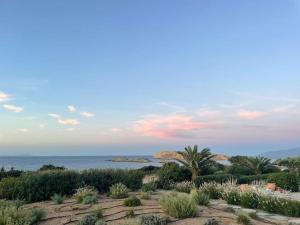 Santa Maria Sea front Apartment