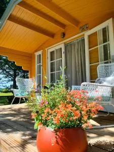 Metsatuule puhkeküla - Hiiumaa