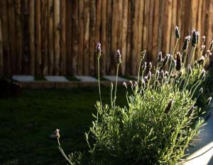 Glamping Caparaó - Domo Terracota