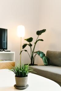 Old Town Heart V - Old Town Square