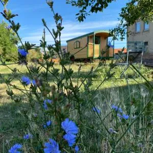 Zauberwagen am Geiseltalsee - Bad Lauchstädt