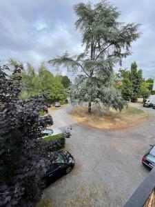 Appartements Bel appartement spacieux et lumineux sur le port : photos des chambres