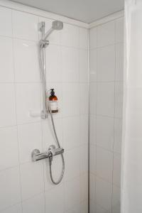 Maristova apartment 109