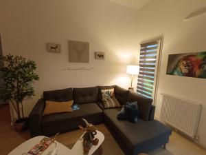 Chambre à 25 min de Paris - appartement partagé