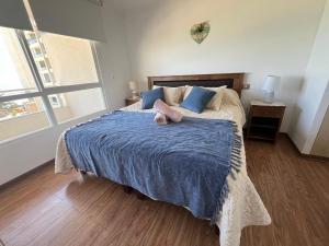 Departamento Laguna del Mar Aves del Humedal