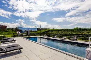 Ferio Vila su pirtimis ir baseinu - Lazdininkų