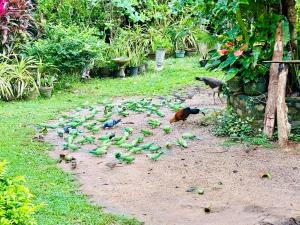 Bird House Homestays