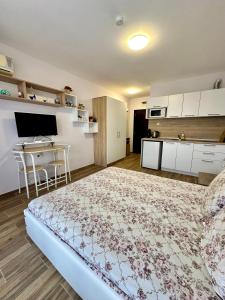 Studio at Kaskadas A44