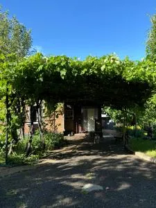 Заміський будинок - Vytachiv