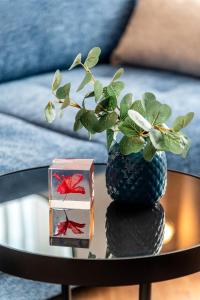 Kairos Apartments - Crystal - darmowy parking, ścisłe centrum