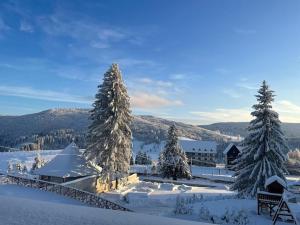 Pensiunea Mountain Pearl