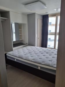 Sokcho Koaroo Arista