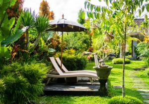 Green Coconut Cottage