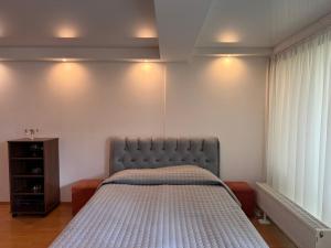 Daukanto 10 studio apartment