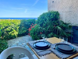 Appartements Joli studio vue mer avec terrasse et jardinet a Sant Ambroggio : photos des chambres