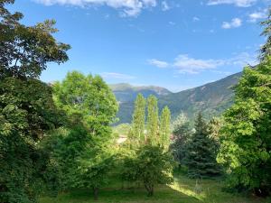 B&B / Chambres d'hotes Chalet Le Tilleul : photos des chambres