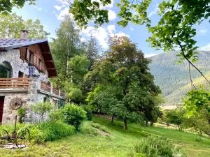 Chalet Le Tilleul - Valdeblore