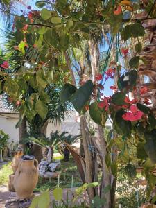 Like at Home Salento - Rustic Bungalow