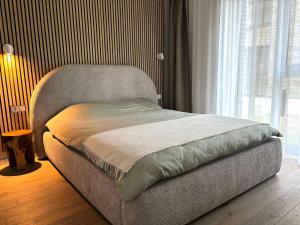 Vanagupės Pušynas & SPA Luxury apartment