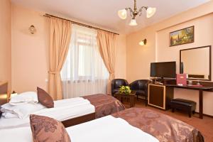 Twin Room room in Pensiunea Ambient