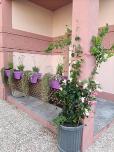 Maison Belle Époque & suites img79