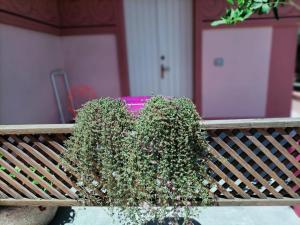 Maison Belle Époque & suites img76