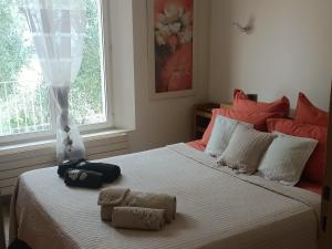 Villas Villa la Grette : photos des chambres