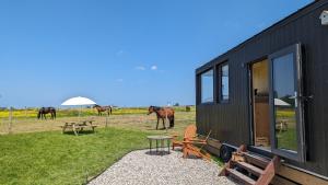 Chalets Tiny House La Cavalerie, au milieu des chevaux ! : photos des chambres