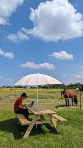 Chalets Tiny House La Cavalerie, au milieu des chevaux ! : photos des chambres