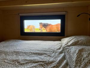 Chalets Tiny House La Cavalerie, au milieu des chevaux ! : photos des chambres